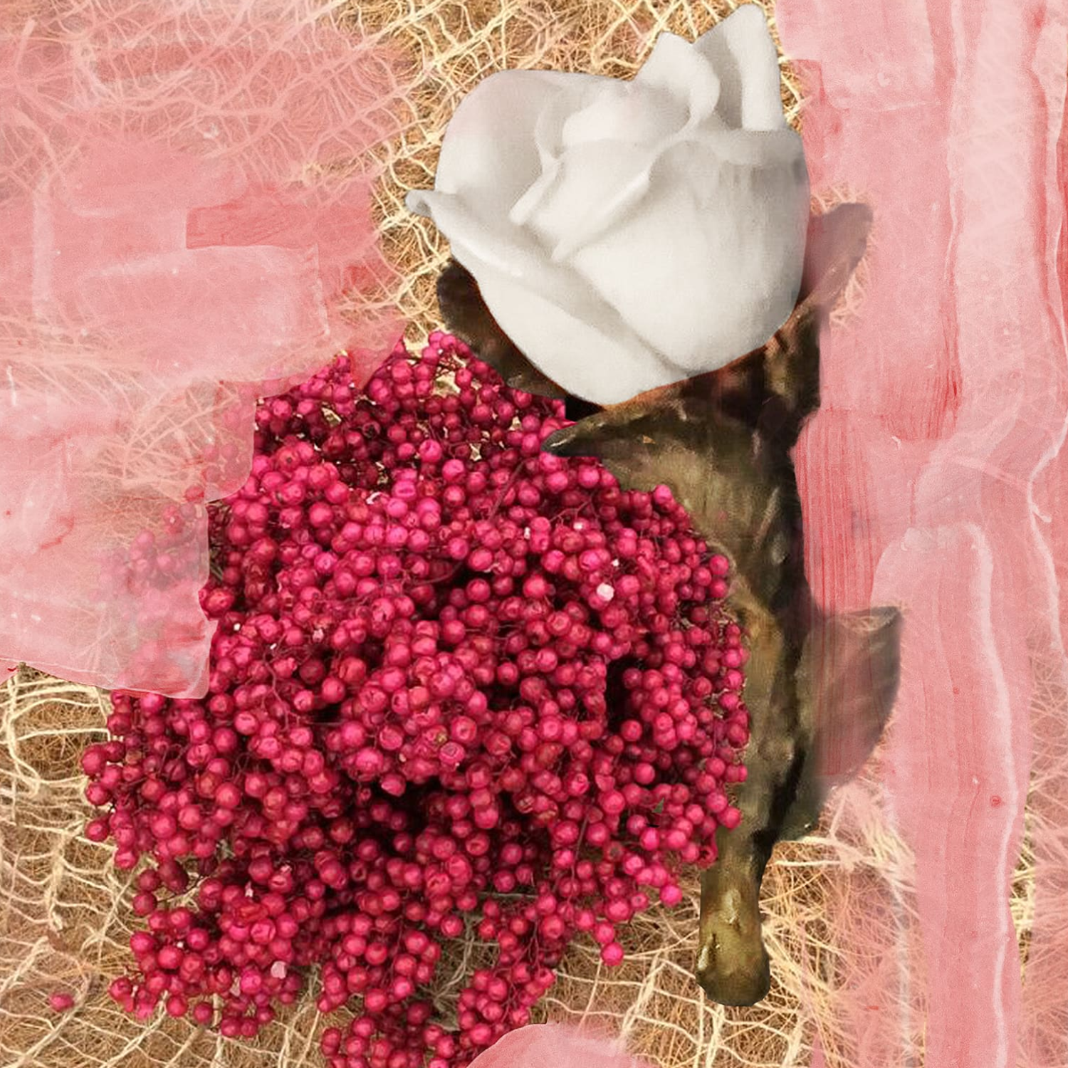 Rose of No Mans Land Creme Pour le Corps