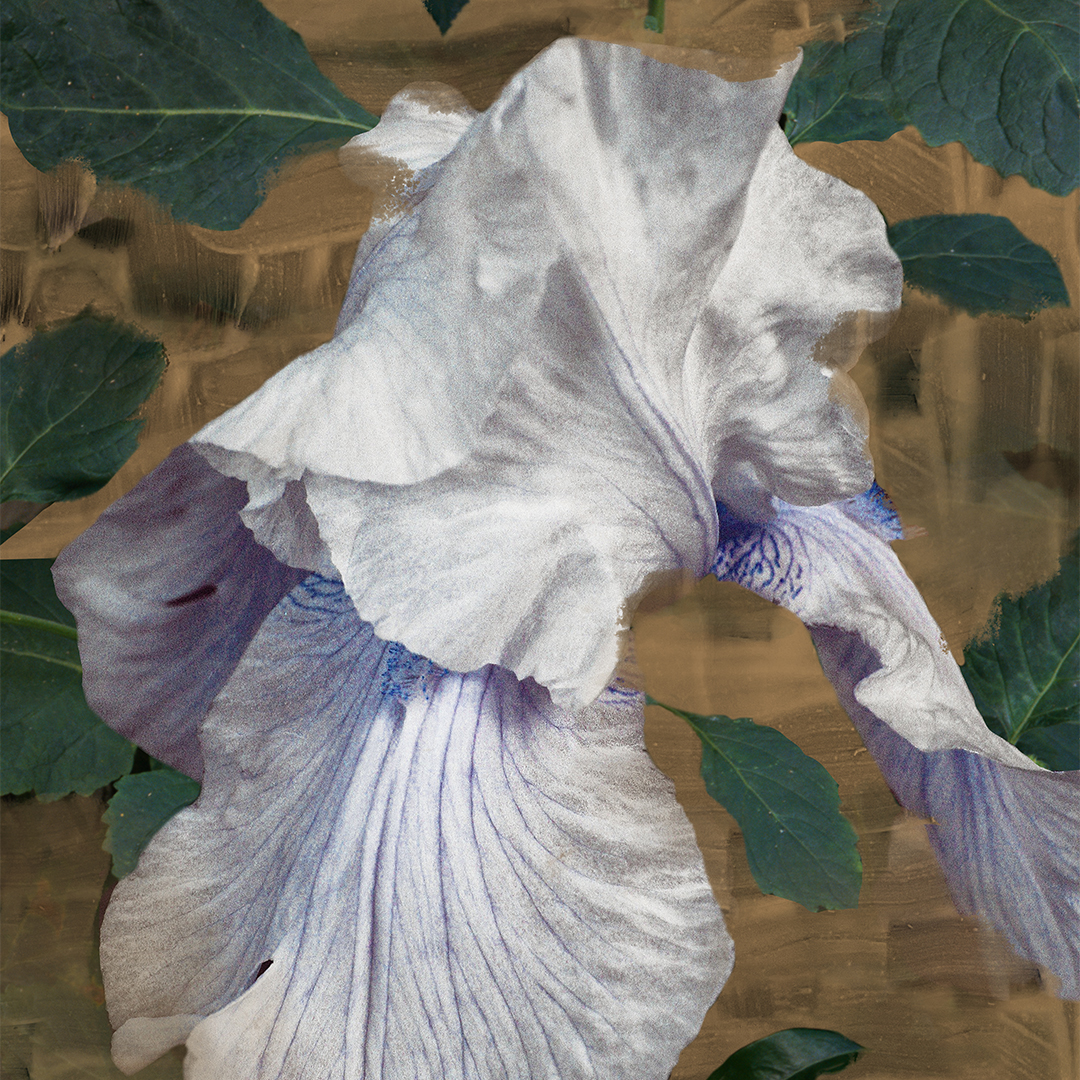 Eyes Closed Eau de Parfum