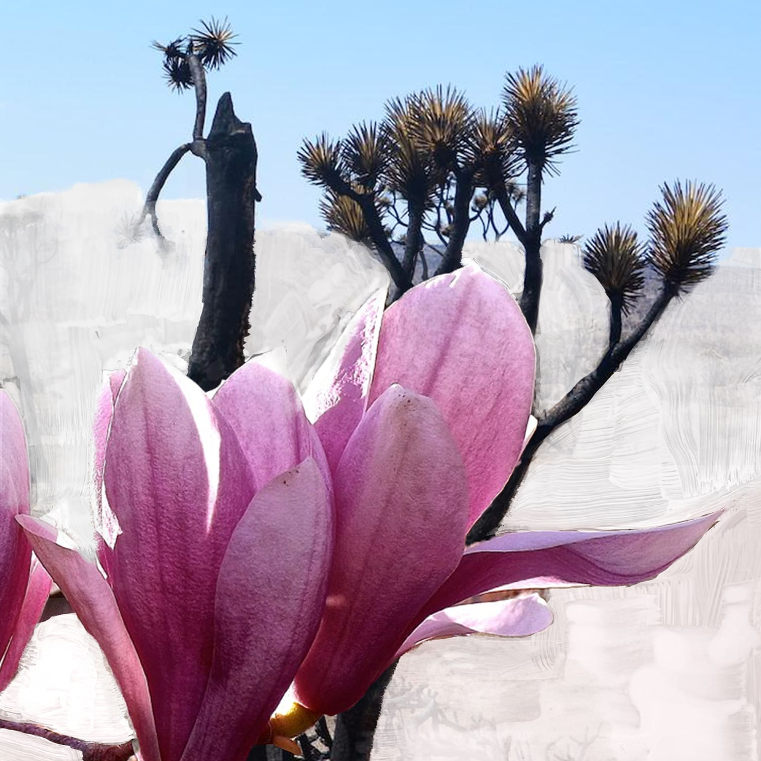 Mojave Ghost Hair Perfume