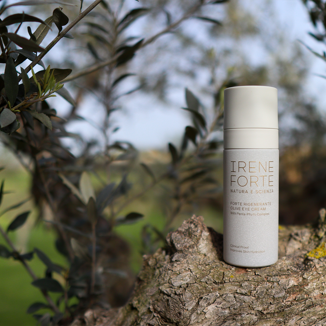 Olive Eye Cream Augencreme