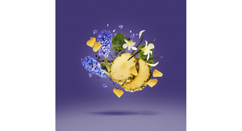 ACCENTO V-Collection