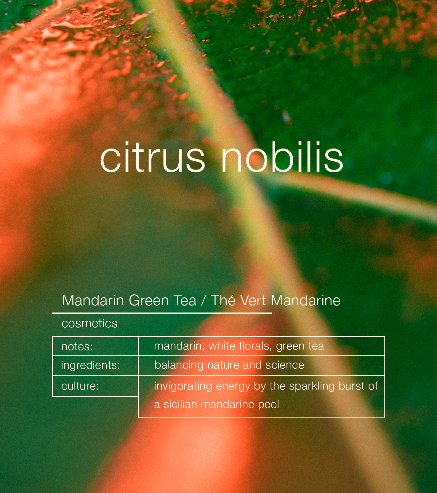 Mandarin Green Tea Citrus Nobilis Nourishing Shampoo