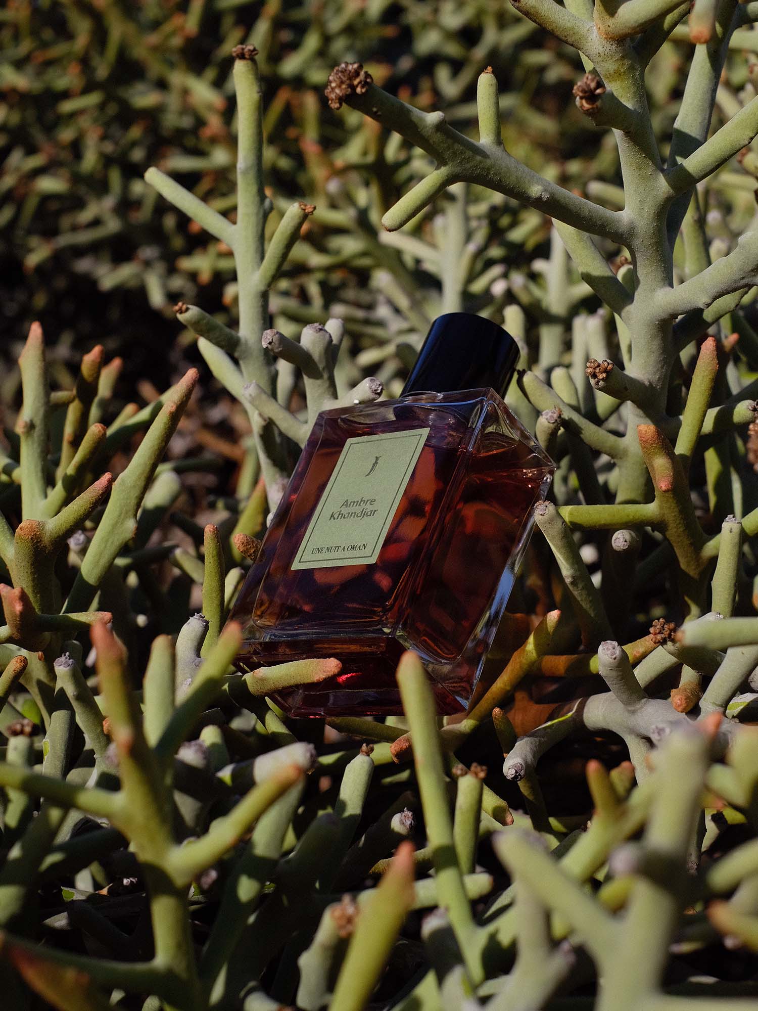 Ambre Khandjar E.d.P