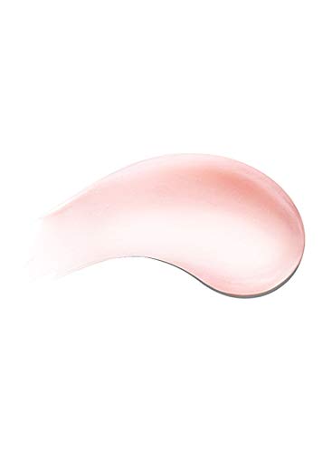 THE LIP VOLUMIZER