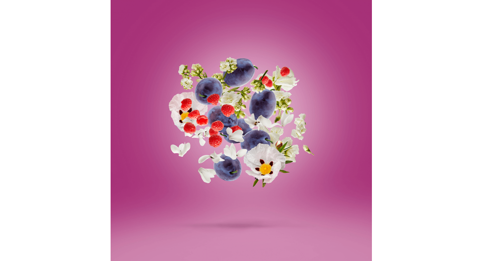 MUSE V-Collection
