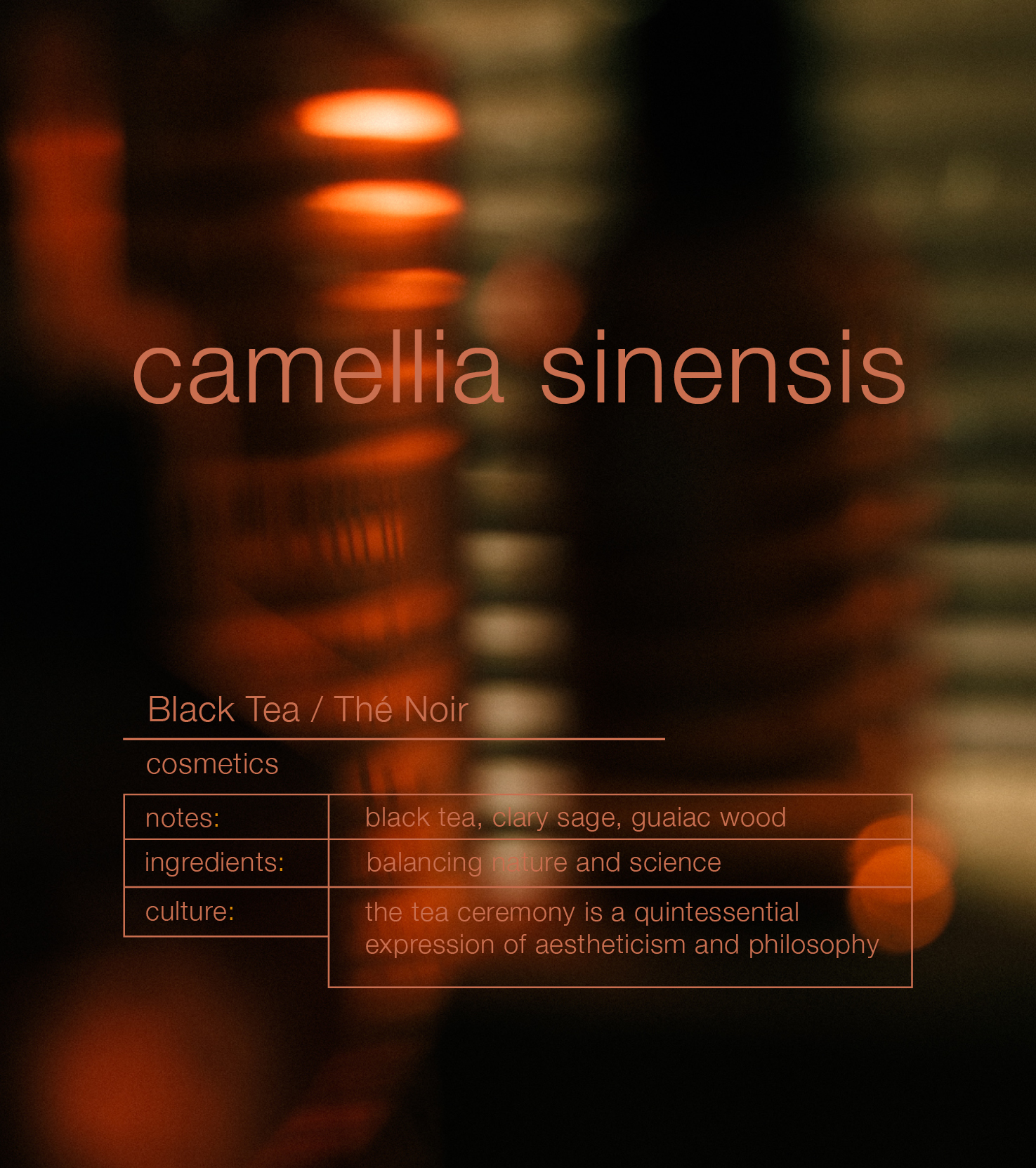 Black Tea Camellia Sinensis Hydrating Hand & Body Balm