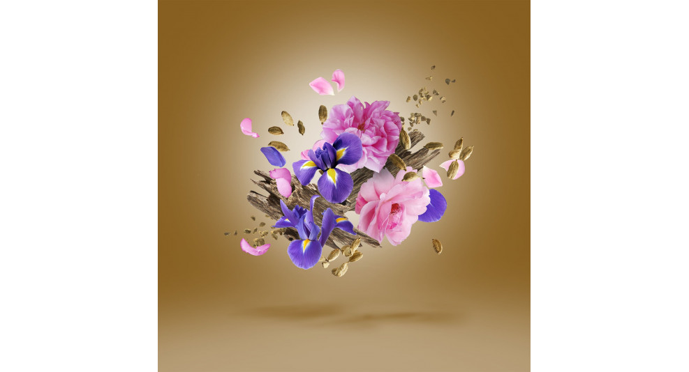 OUD STARS ALEXANDRIA II ANNIVERSARY