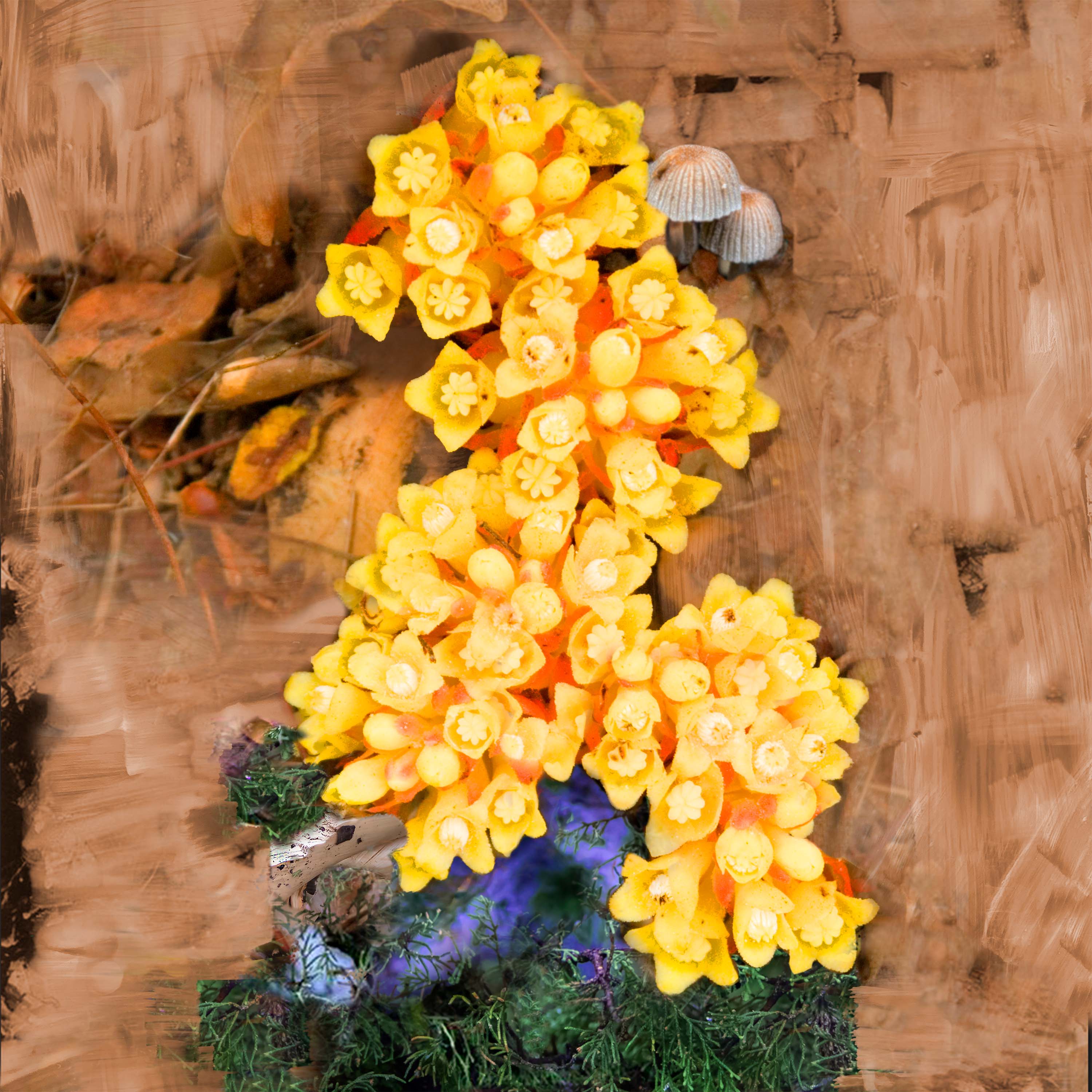 De Los Santos Eau de Parfum